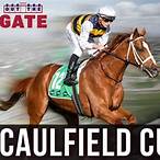 bet on caulfield cup